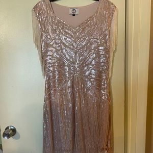 Beautiful Pink Sequence With Shoulder Fringe Evening Gown